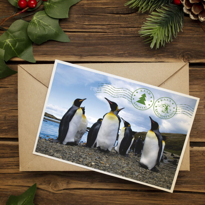 Κάρτ ποστάλ σχήματος 15×10εκ. σε χαρτόνι 300g.