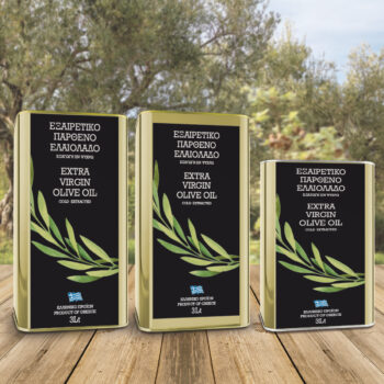 Ετικέτες εξαιρετικού παρθένου ελαιολάδου 3 λίτρων με έντονο πράσσινο κλαδί ελιάς για μεταλλικά δοχεία