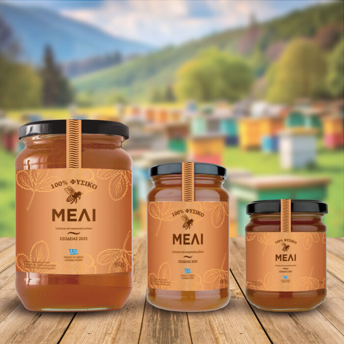 Honey-Jars-6 Μακέτα ετικέτας για φυσικό μέλι σε τρία μεγέθη βάζων – minimal σχέδιο με φτερά μέλισσας, μέλισσα σε μελί χρώμα.